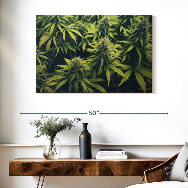 Jardin de bourgeons de marijuana