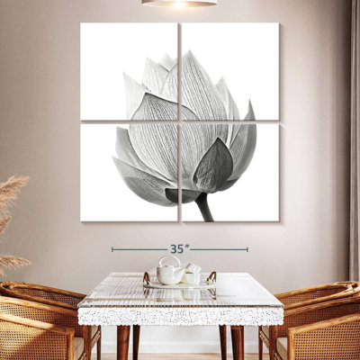 Lotus Harnek en herbe