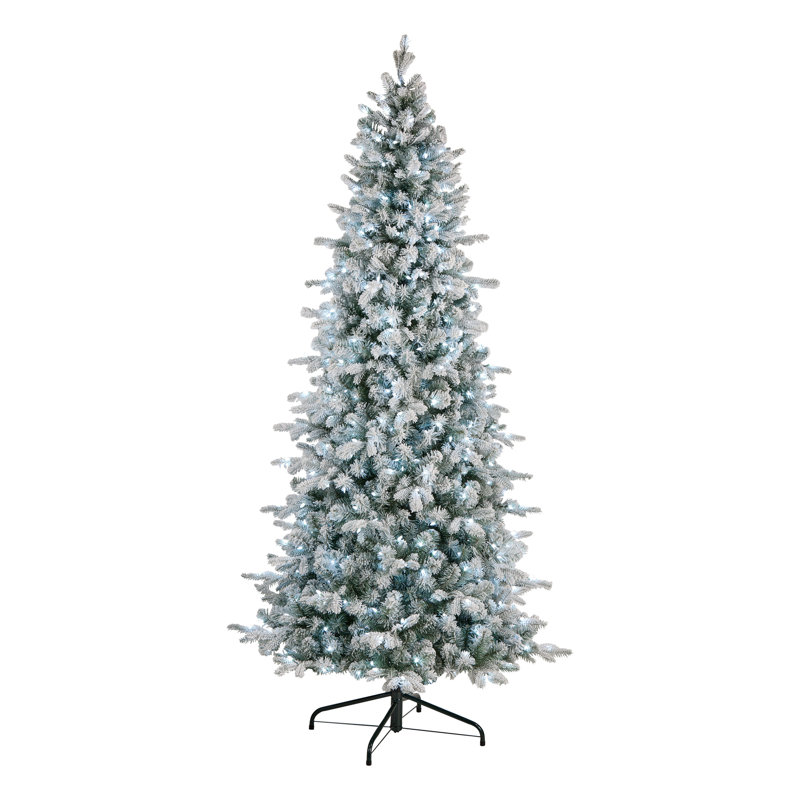 Arbre de Noël bleu avec lumières DEL The Holiday Aisle®, 6'