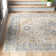 Machine Washable Oriental Area Rug