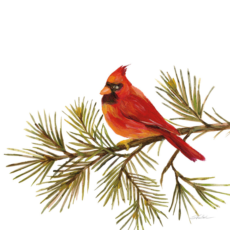 Cardinal de Noël V sur fond blanc, H 12 po x l 12 po x P 1,25 po