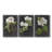Dramatic White Flowers I Canvas Painting Print-854455597
