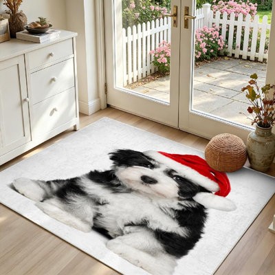 Tapis blanc bichon havanais mignon lavable à la machine assis
