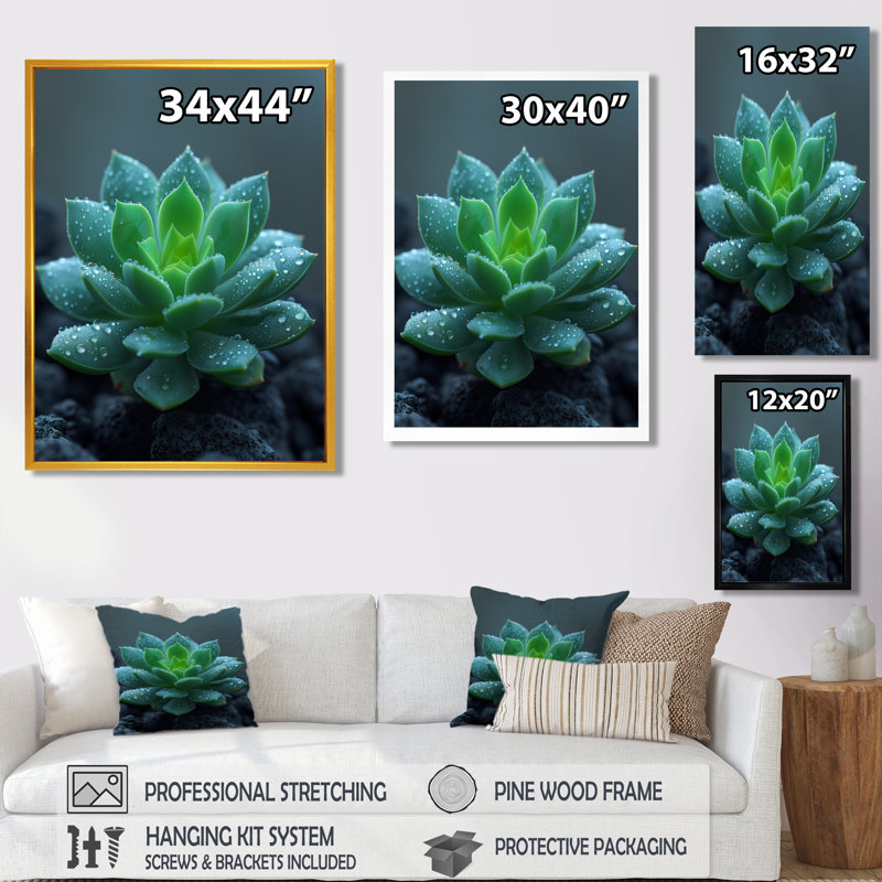 Gouttes de pluie vertes et grises sur un cactus du désert - décoration murale cactus floral, Toile encadrée noire simple