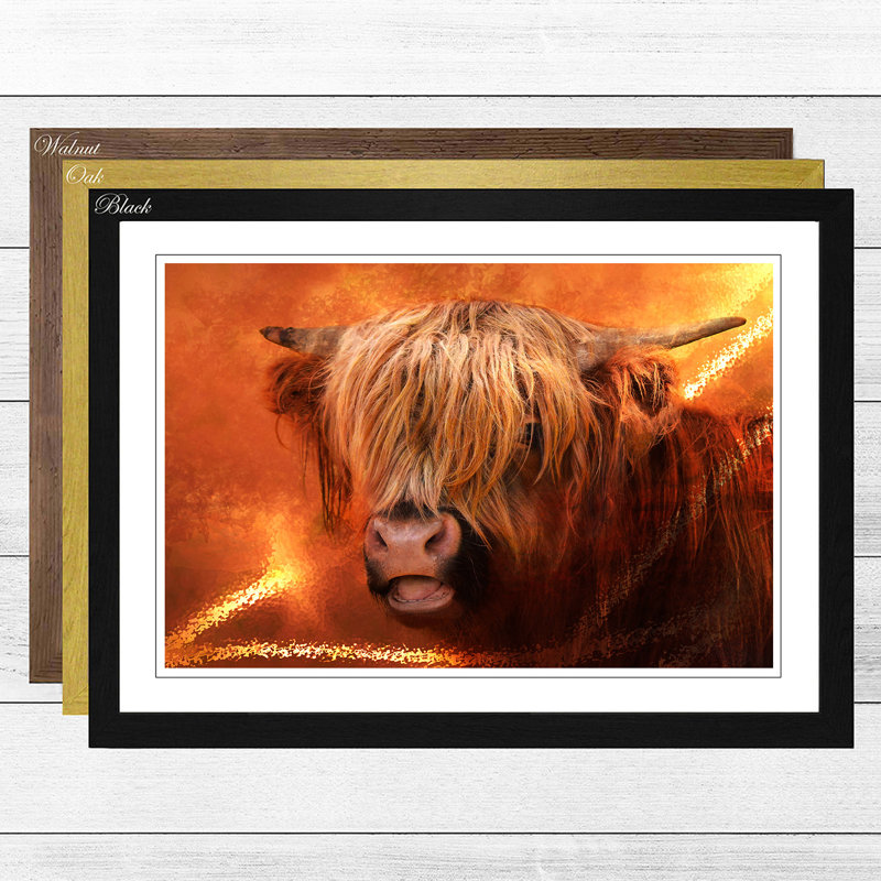 Highland Cow Framed - Framed Print, Black