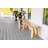 Emra Solid Wood Bench