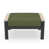 Sunbrella Canvas Fern selected