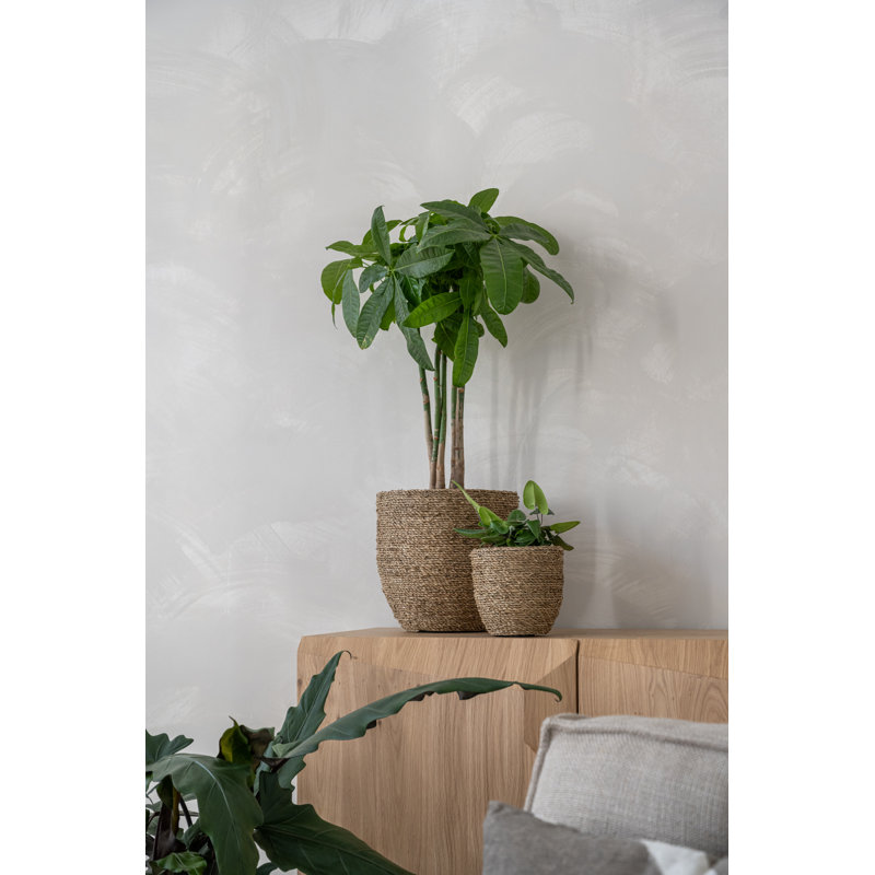 Pot à fleurs fait à la main Ardell, H 7 po x l 7 po x P 7 po
