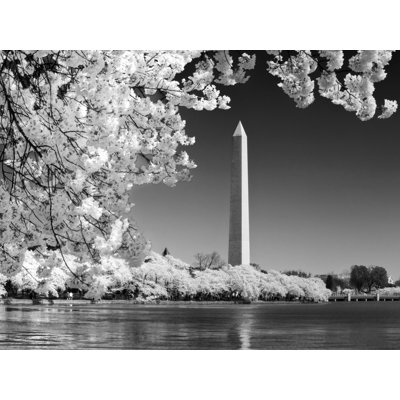 Cherry Blossoms I Print by Robert Dodge