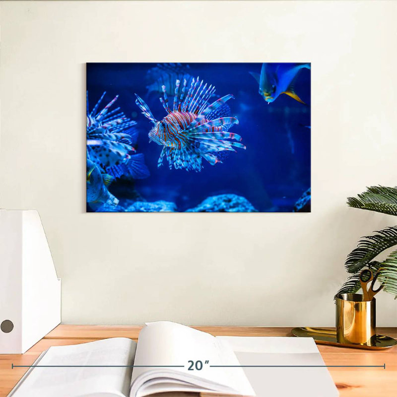 Brampt Aquarium Lionfish