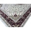 Elegance Oriental Area Rug