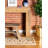 Pioneer Indoor Rug-59052668