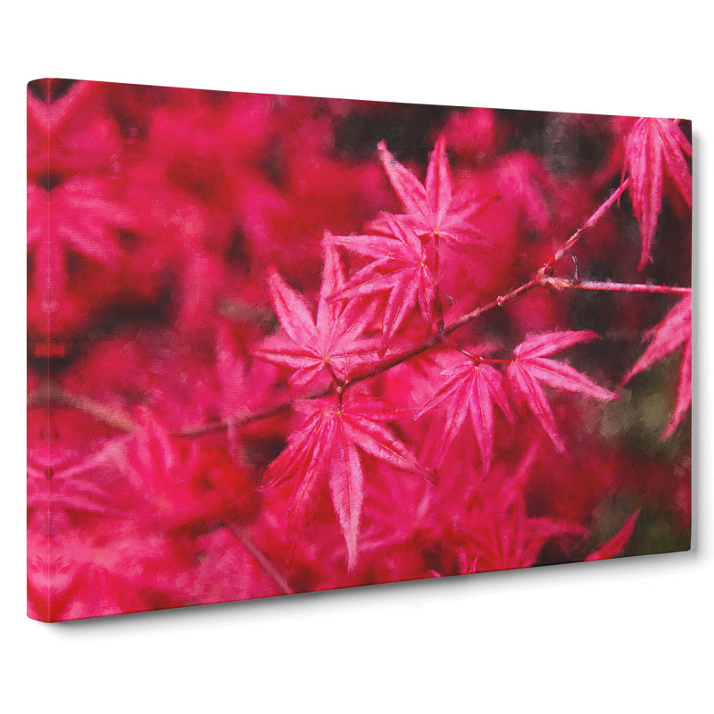 Japanese Maple Tree - Wrapped Canvas, 35cm H x 50cm W x 3cm D