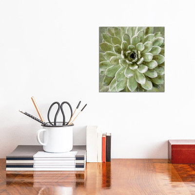 Lindsay Benson - Wrapped Canvas Print