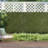 1.5' H x 1.5' W Boxwood Polyester Privacy Screen