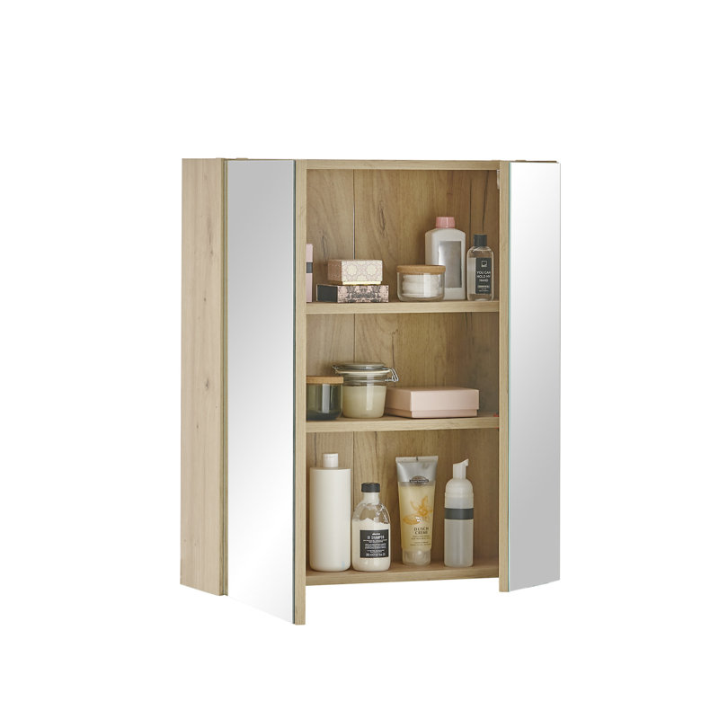 Ruvolo 600mm W 700mm H Wall Frameless Medicine Cabinet Mirror 2 Fixed