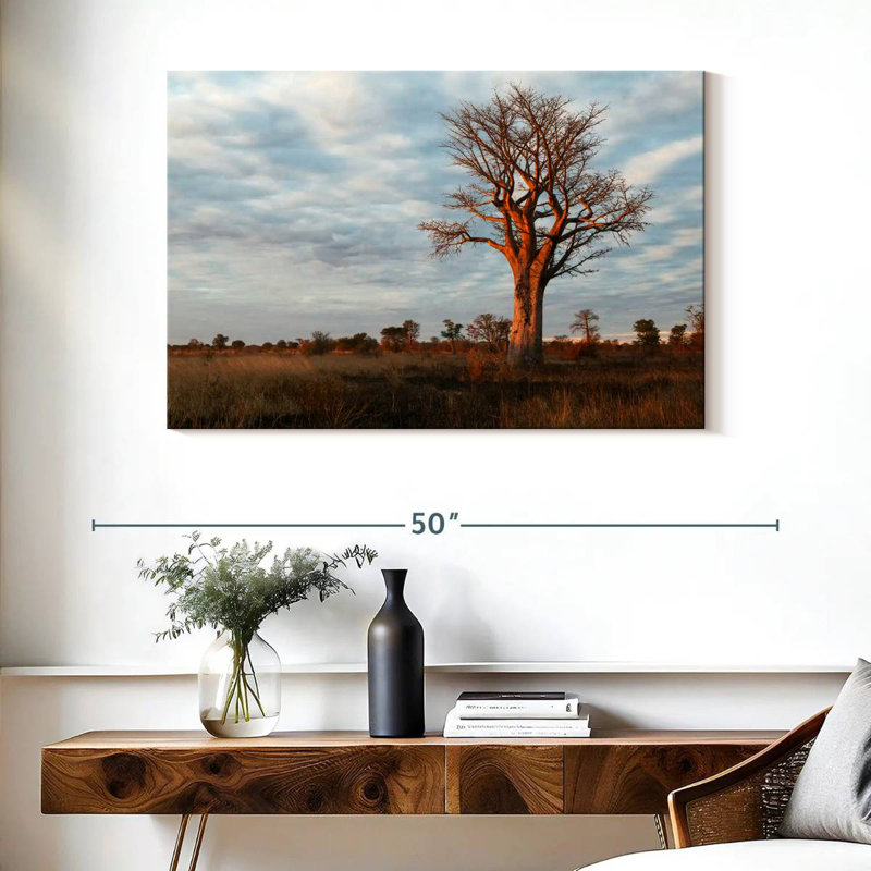 Baobab zambien Harnek, H 26 po x l 39 po