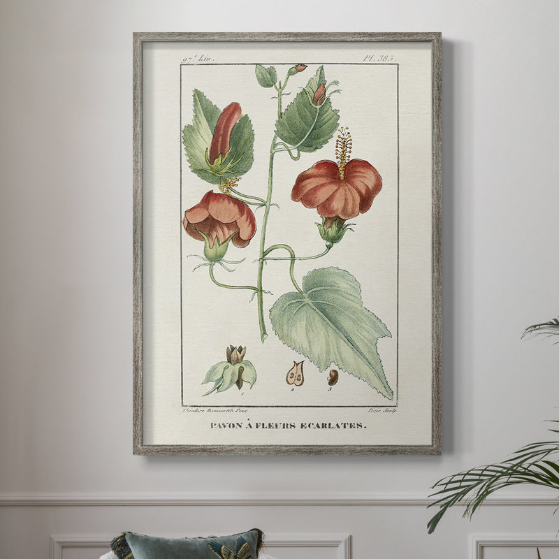 Reproduction encadrée Turpin Tropical Botanicals IV - bois massif, H 30 po x l 24 po