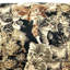 Winchell 40cm Wide Rectangle Animal Print Ottoman with Storage, Hand-Finished Footstool, Stylish Living Room Accent