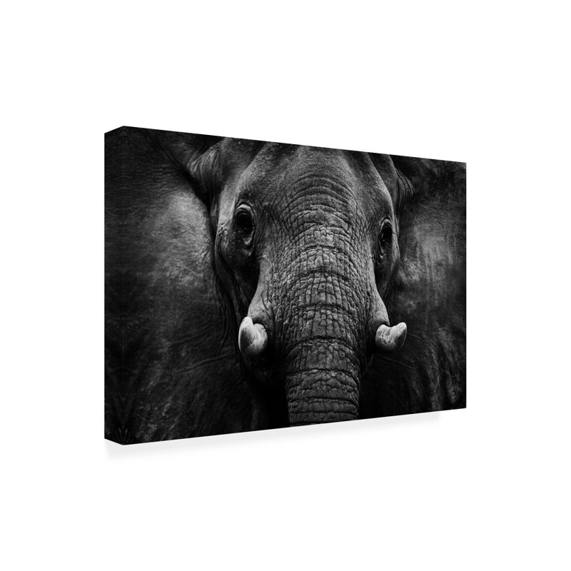 Art sur toile, éléphant, H 22 po x l 32 po