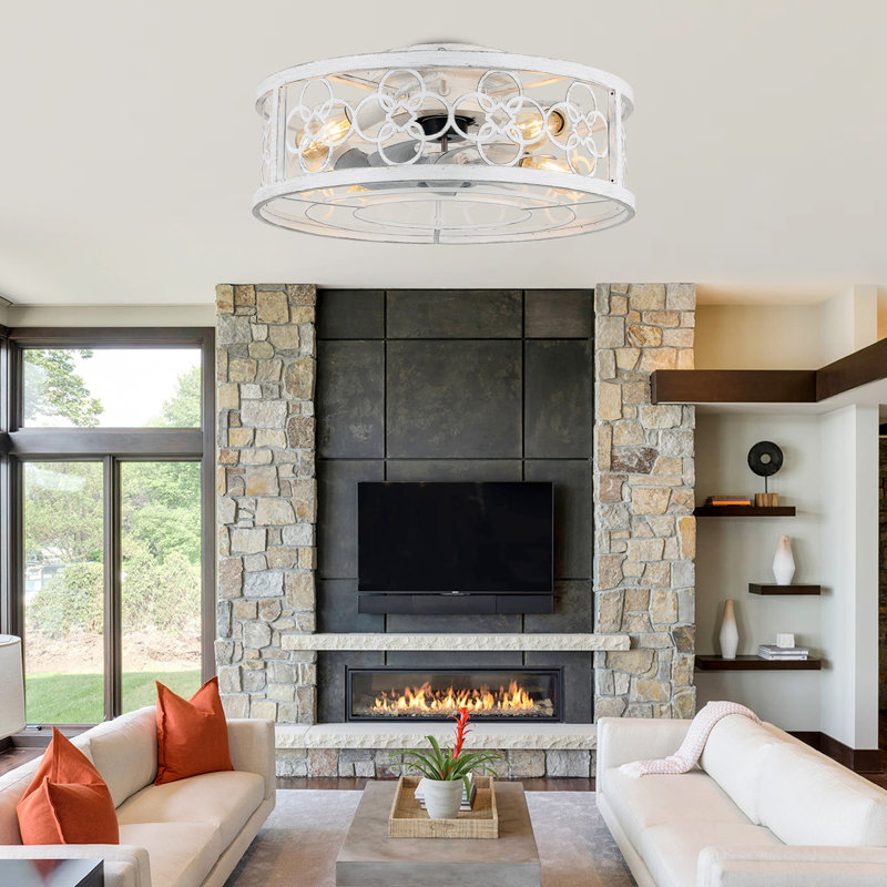 Barney 19" Caged Ceiling Fan with Light Kit and Remote, Flush Mount Farmhouse Ceiling Fan with Light