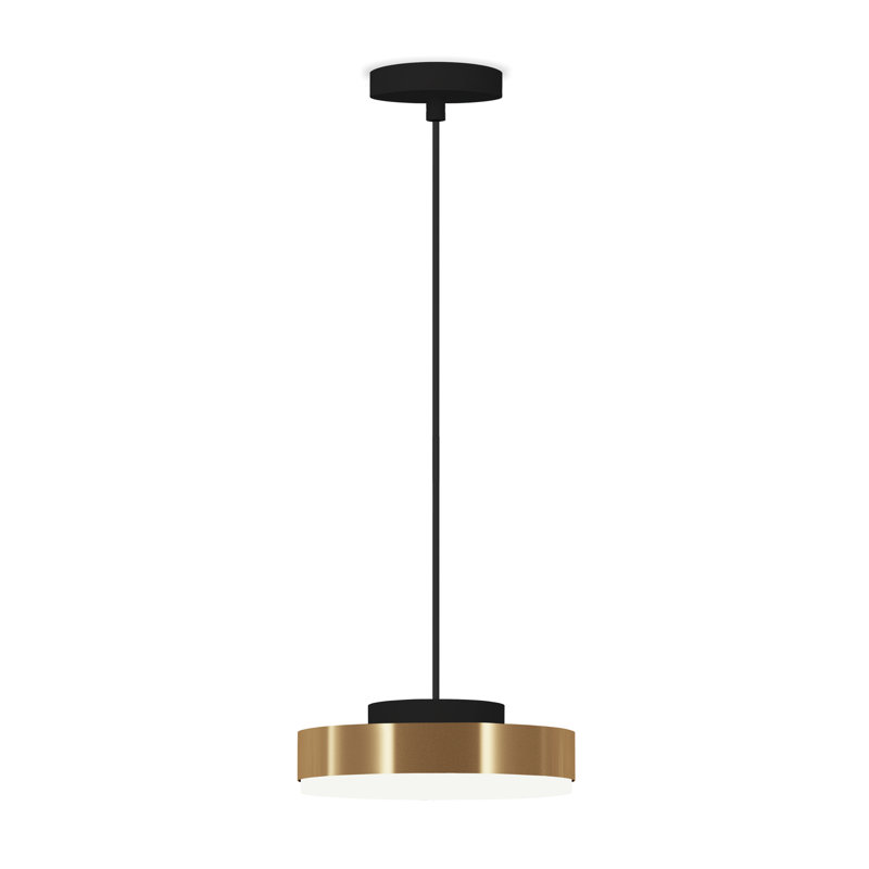 Discus Suspension Lamp, Satin Brass, Matt Black Silk Lacquered