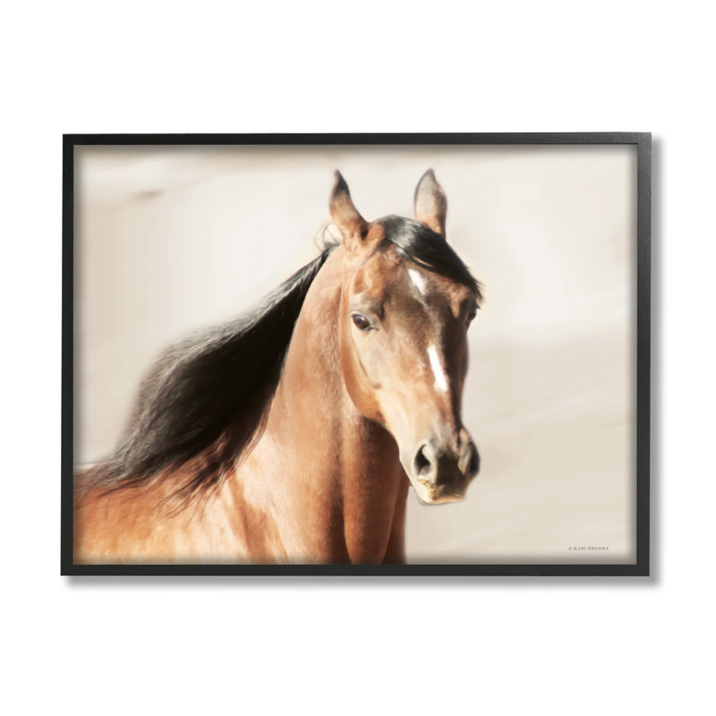 «Stupell Industries Brown Stallion Portrait», art de la giclée par Kari Brooks, H 16 po x l 20 po x P 1,5 po