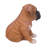 Boxer Puppy Statue