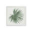«Tropical Fan Palm» par Molly Mattin, reproduction d'art-1489573270-1489573262-1489573249