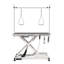 Electric Pet Grooming Table-116489681