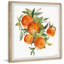 The Oranges - Single Picture Frame Painting-1106872229