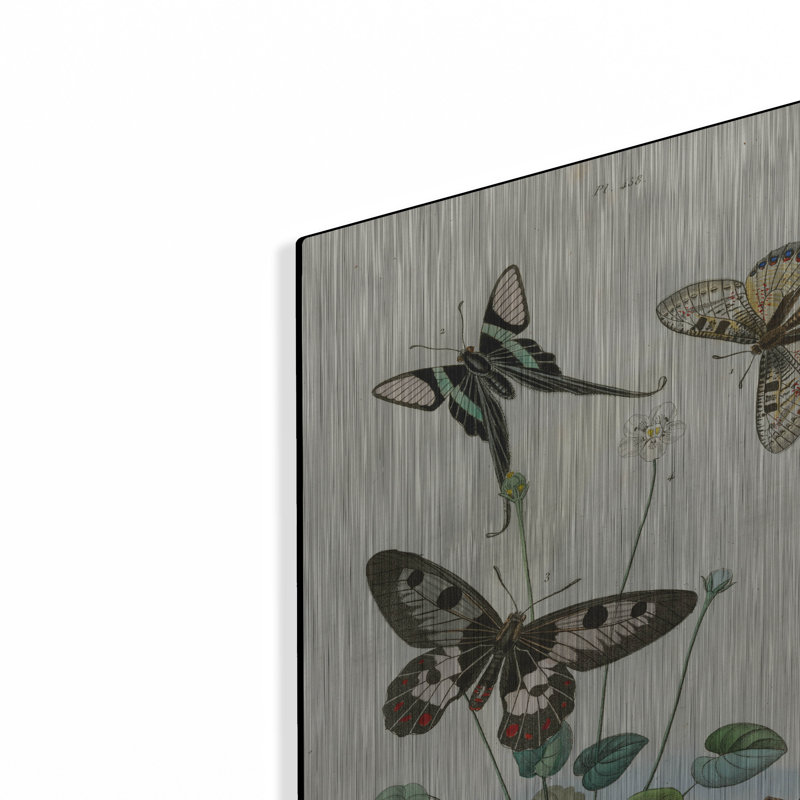 «Papillons - Parnassie» par August Licensing Studio