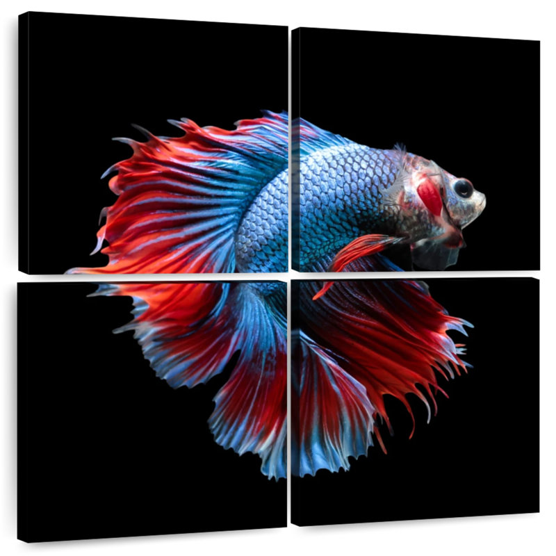 Blue And Red Betta Fish, 45" H x 45" W
