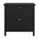 Aliyat 31'' Wide 2 -Drawer File Cabinet