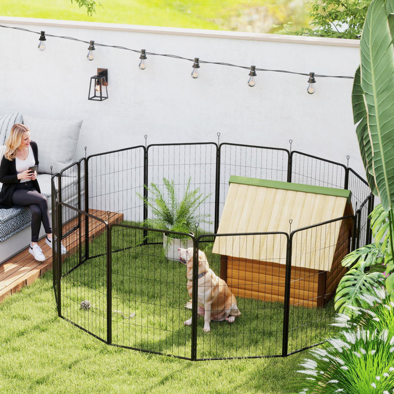 Steel Exercise Pen, 100cm H x 204cm W x 204cm D