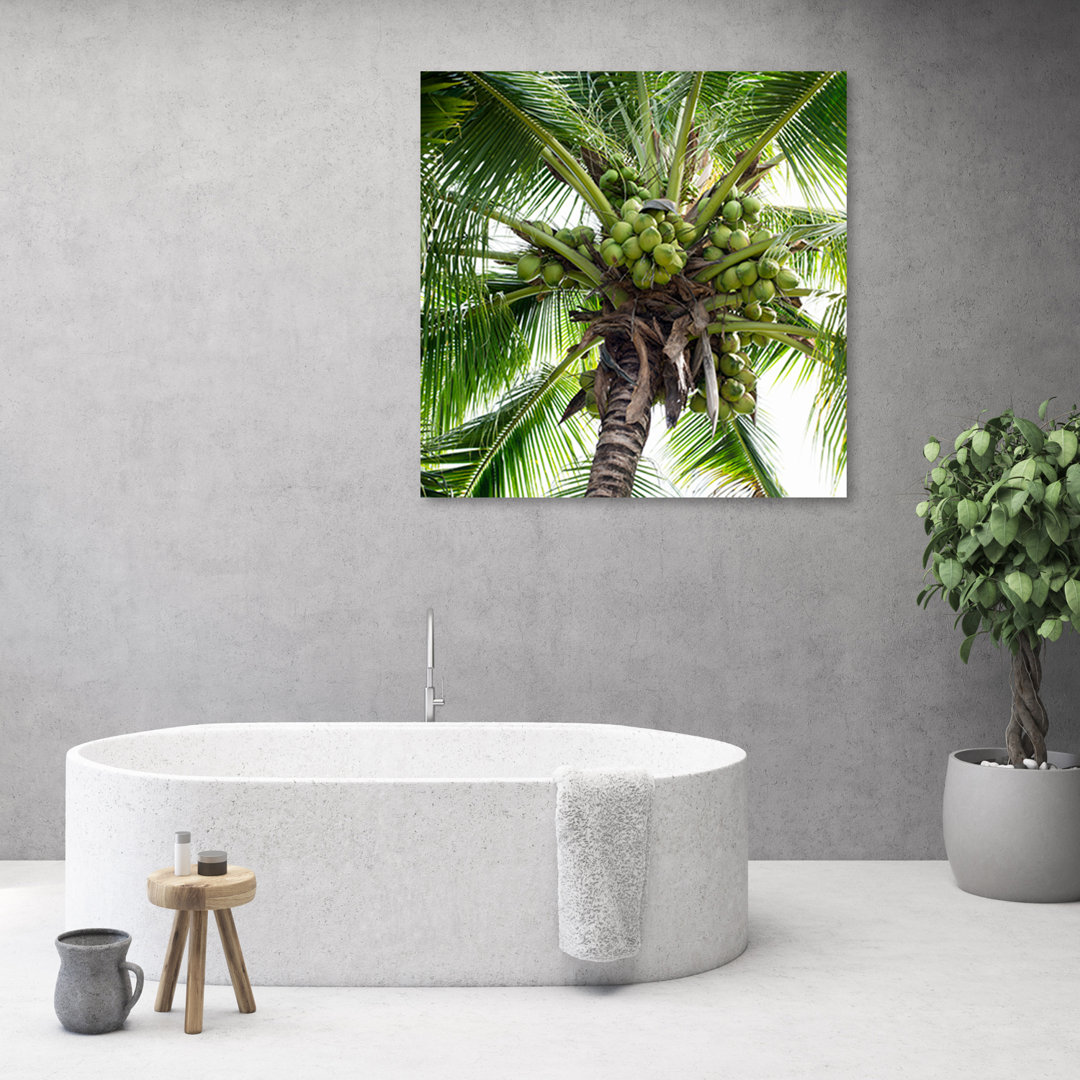 Leinwandbild Coconut Palm Tree Art