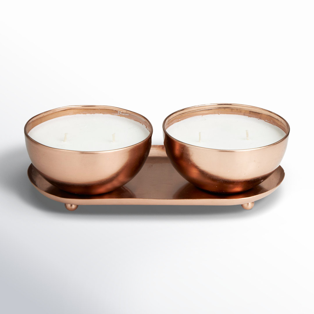 Astere Wax Melt Candle (Set of 2) Joss & Main 