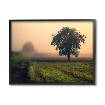 ae-589 " Misty Morning Sunrise Countryside Tree Field " Graphic Art Print