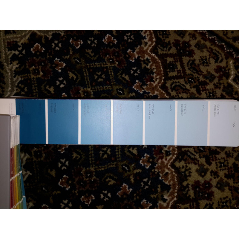 Walde Oriental Area Rug in Navy