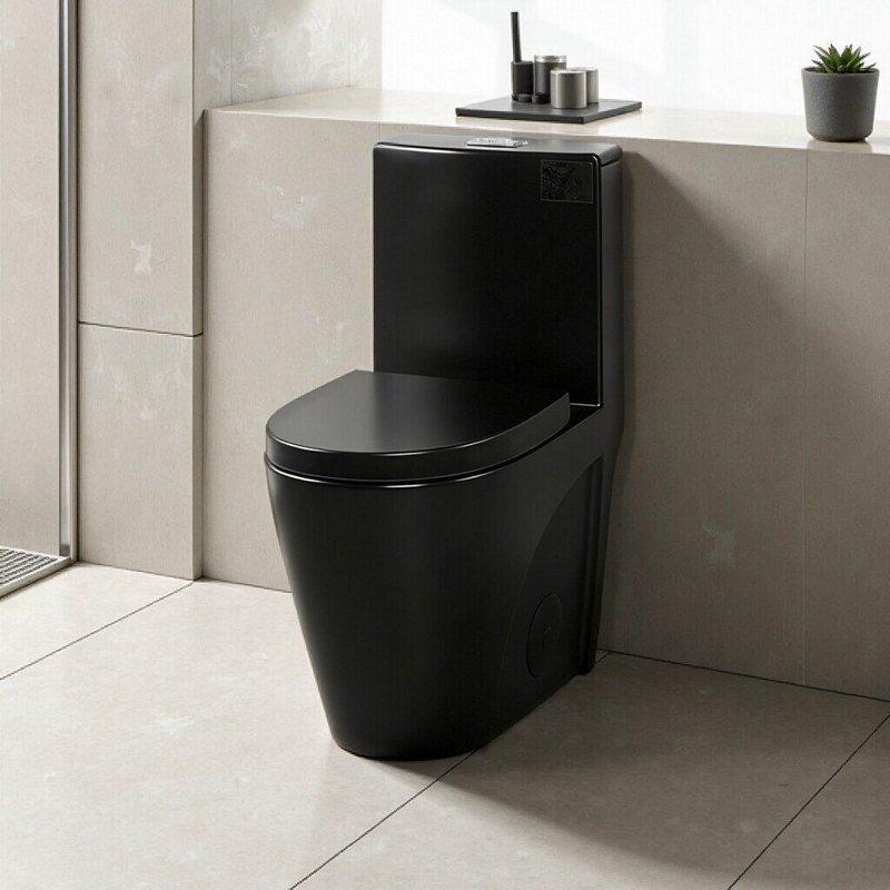 Modern One-Piece Toilet With Dual Flush, Soft Close Seat, Comfort Height, Ceramic, Black