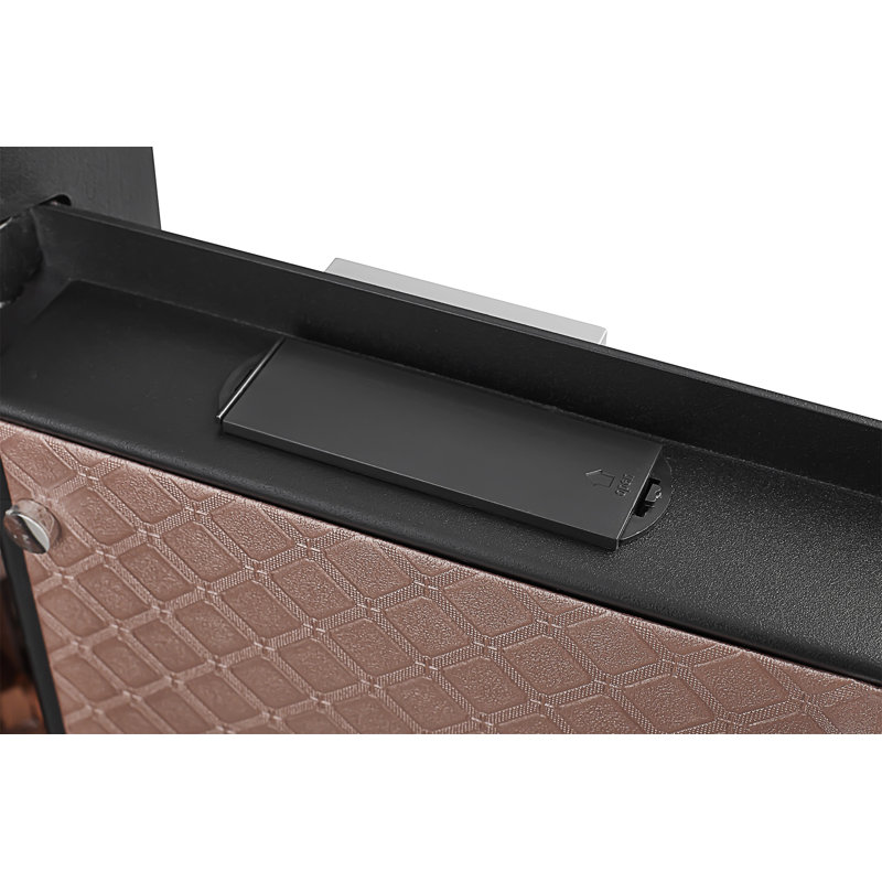 Coffre-fort avec reconnaissance biométrique, H 29,92 po x l 16,54 po x P 18,11 po