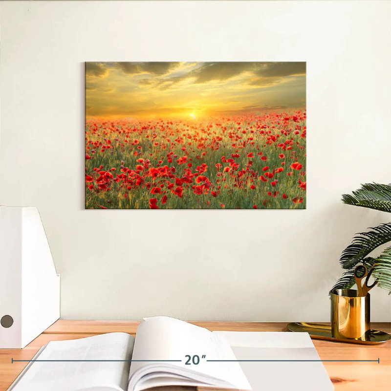 Alvord Poppy Meadow Sunset, H 8 po x l 12 po