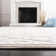Calidia Oriental Cream/Ivory Area Rug