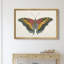 «Beautiful Butterfly IV», impression sur toile encadrée-1812992106-1812992107