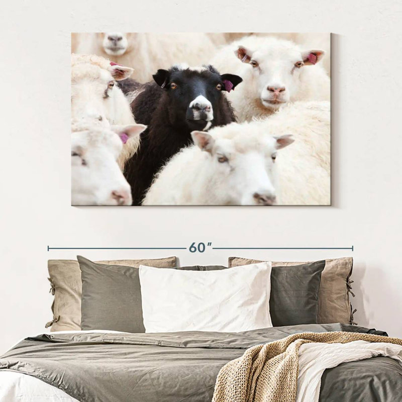 Brampt Standout Black Sheep, 34" H x 51" W