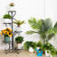 Budron Plant Stand