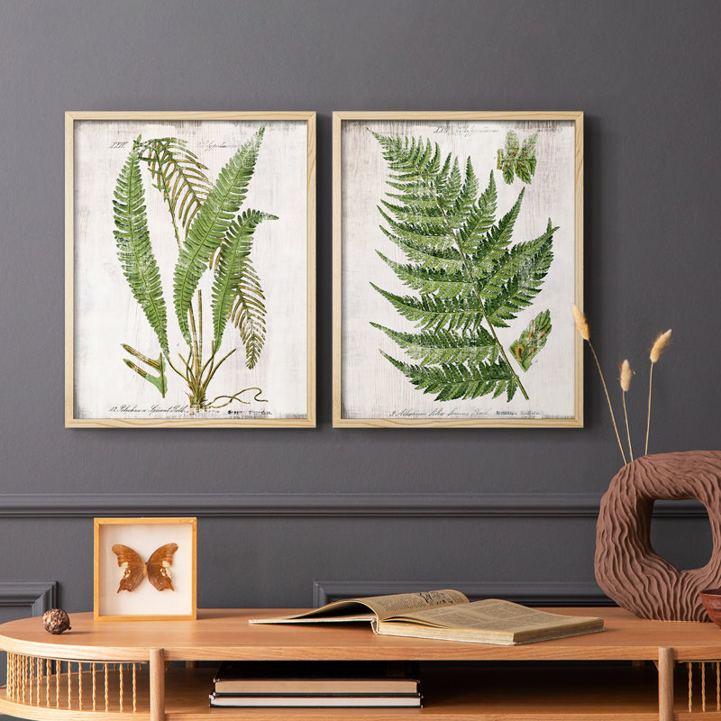 «Greenhouse Fern I», reproduction encadrée de qualité supérieure - prête à être accrochée - aucun clou requis - aucun clou requis