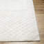 Catosha Indoor Rug-839200068