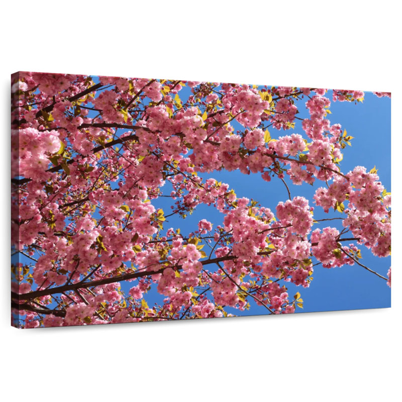 Lush Sakura Tree, 32" H x 48" W