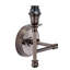 Acalia Solid Brass Armed Sconce